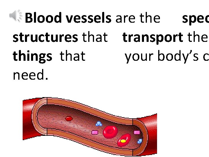 Blood vessels are the spec structures that transport the things that your body’s c