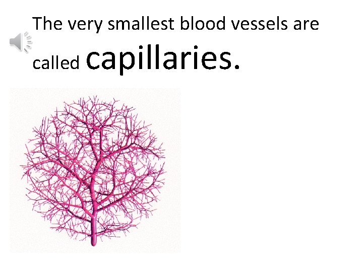 The very smallest blood vessels are called capillaries. 