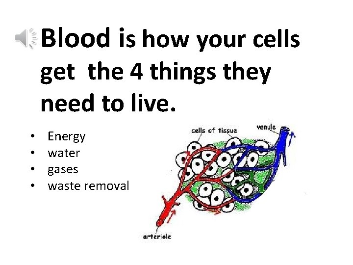 Blood is how your cells get the 4 things they need to live. •