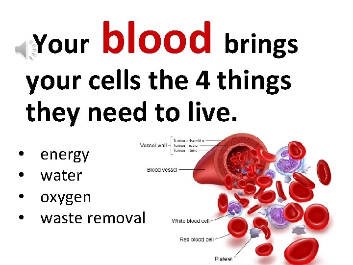 blood Your brings your cells the 4 things they need to live. • •