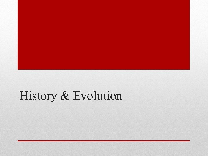 History & Evolution 