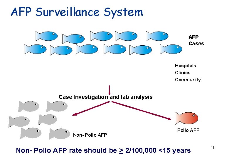 AFP Surveillance System AFP Cases Hospitals Clinics Community Case Investigation and lab analysis Non-