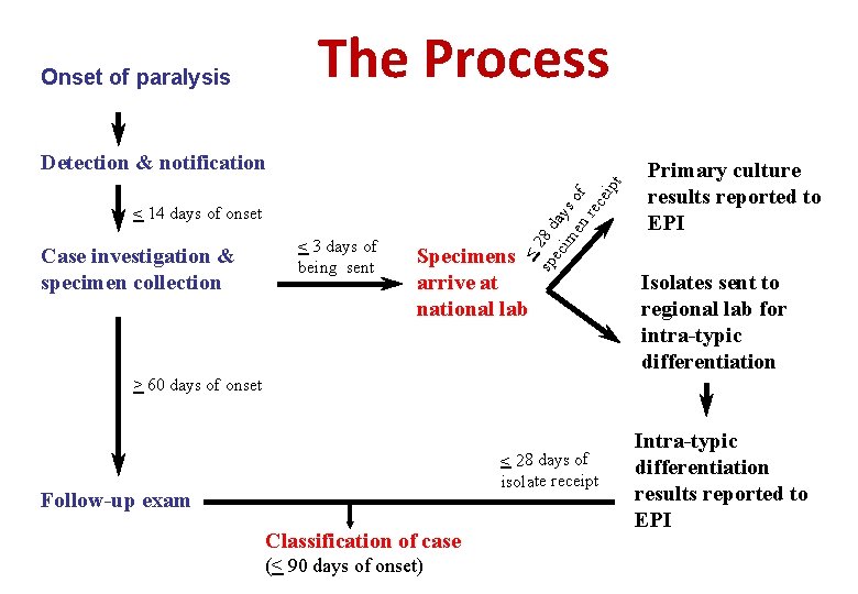 The Process Onset of paralysis < 14 days of onset Case investigation & specimen