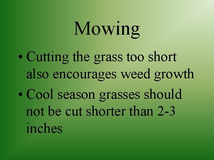 Mowing • Cutting the grass too short also encourages weed growth • Cool season
