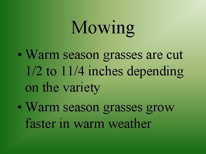 Mowing • Warm season grasses are cut 1/2 to 11/4 inches depending on the