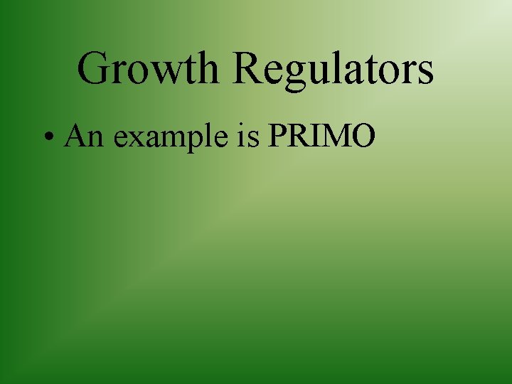 Growth Regulators • An example is PRIMO 