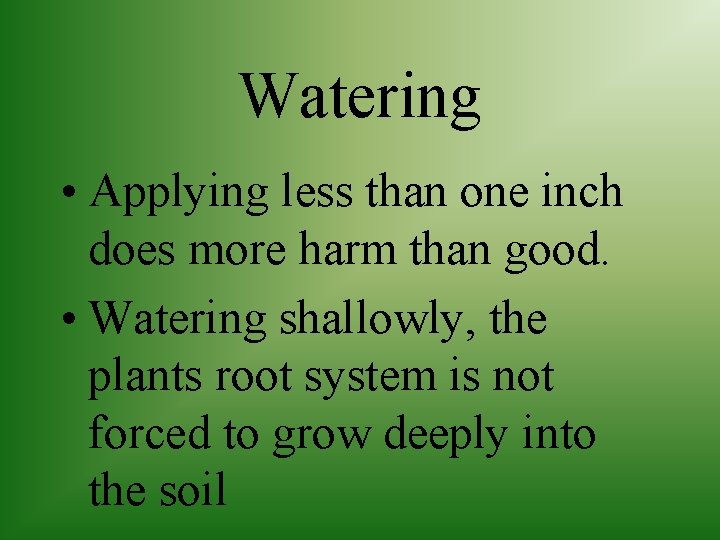 Watering • Applying less than one inch does more harm than good. • Watering