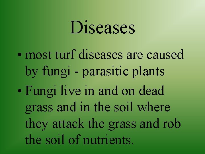 Diseases • most turf diseases are caused by fungi - parasitic plants • Fungi