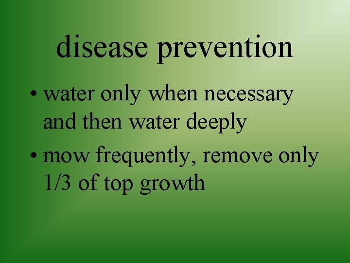 disease prevention • water only when necessary and then water deeply • mow frequently,
