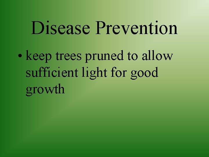 Disease Prevention • keep trees pruned to allow sufficient light for good growth 
