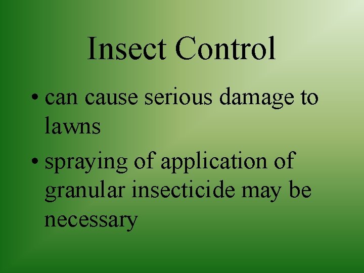 Insect Control • can cause serious damage to lawns • spraying of application of