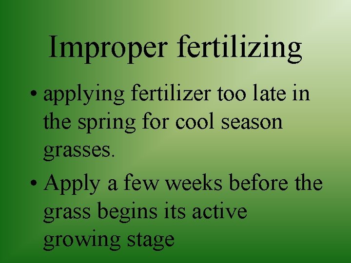 Improper fertilizing • applying fertilizer too late in the spring for cool season grasses.