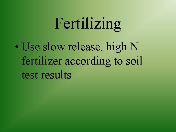 Fertilizing • Use slow release, high N fertilizer according to soil test results 