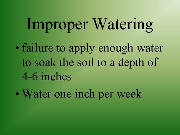 Improper Watering • failure to apply enough water to soak the soil to a
