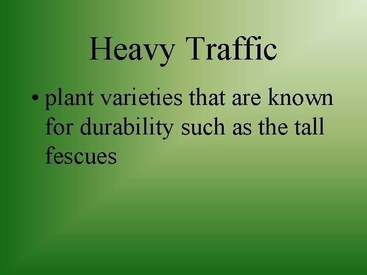 Heavy Traffic • plant varieties that are known for durability such as the tall