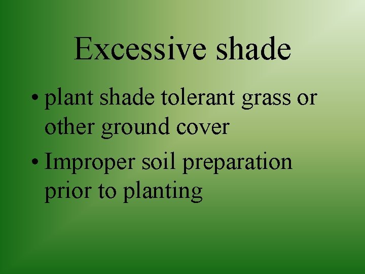 Excessive shade • plant shade tolerant grass or other ground cover • Improper soil