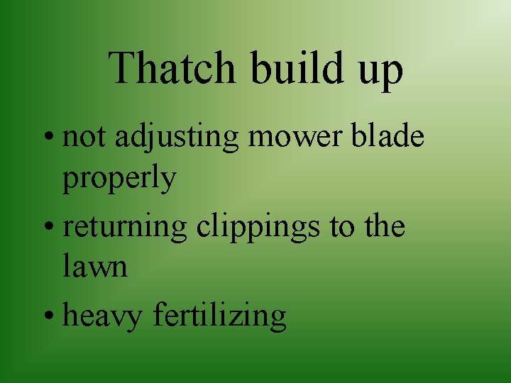 Thatch build up • not adjusting mower blade properly • returning clippings to the