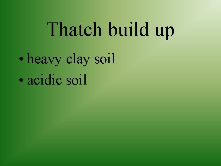 Thatch build up • heavy clay soil • acidic soil 