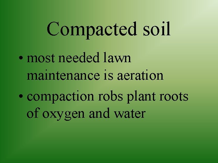 Compacted soil • most needed lawn maintenance is aeration • compaction robs plant roots
