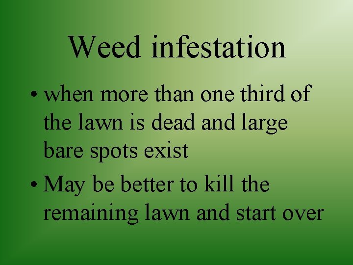 Weed infestation • when more than one third of the lawn is dead and