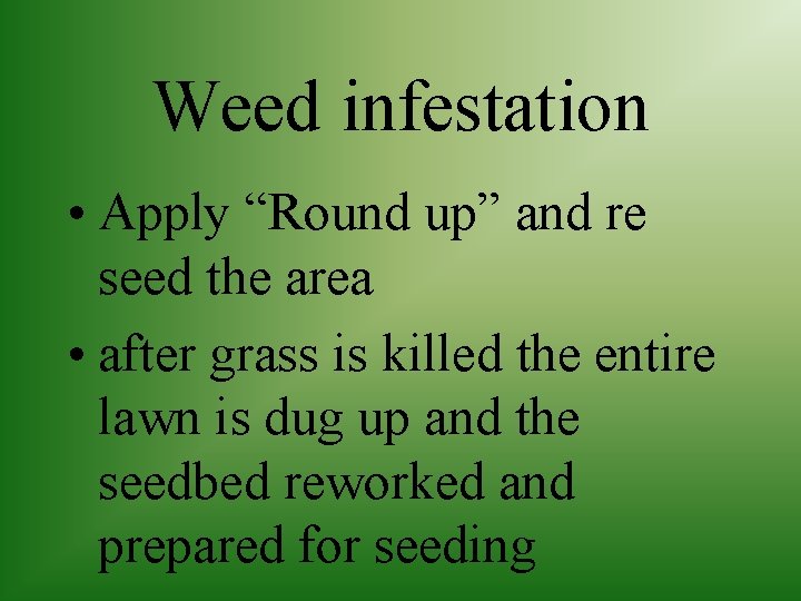 Weed infestation • Apply “Round up” and re seed the area • after grass
