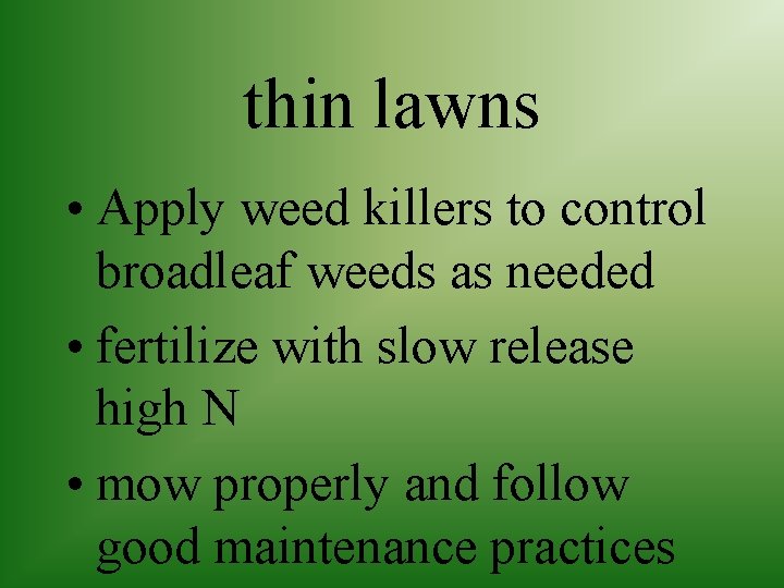 thin lawns • Apply weed killers to control broadleaf weeds as needed • fertilize