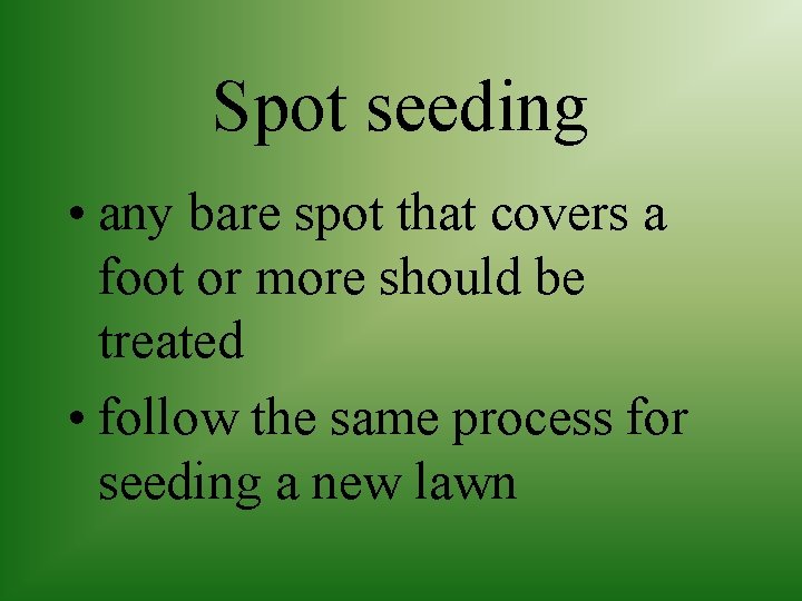 Spot seeding • any bare spot that covers a foot or more should be