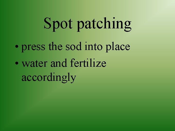 Spot patching • press the sod into place • water and fertilize accordingly 