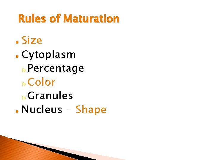 Rules of Maturation Size l Cytoplasm O Percentage O Color O Granules l Nucleus