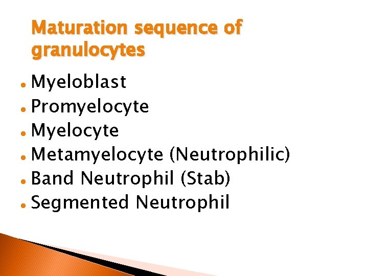 Maturation sequence of granulocytes Myeloblast l Promyelocyte l Metamyelocyte (Neutrophilic) l Band Neutrophil (Stab)