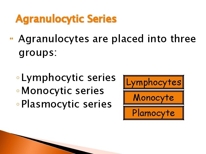 Agranulocytic Series Agranulocytes are placed into three groups: ◦ Lymphocytic series Lymphocytes ◦ Monocytic