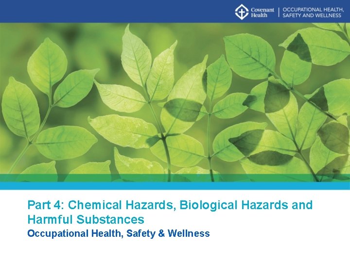 Part 4: Chemical Hazards, Biological Hazards and Harmful Substances Occupational Health, Safety & Wellness