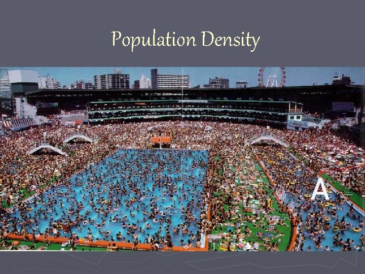 Population Density 