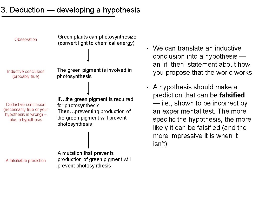 3. Deduction — developing a hypothesis Observation Inductive conclusion (probably true) Green plants can