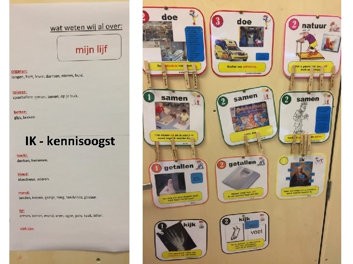 IK - kennisoogst 