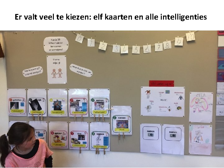 Er valt veel te kiezen: elf kaarten en alle intelligenties 