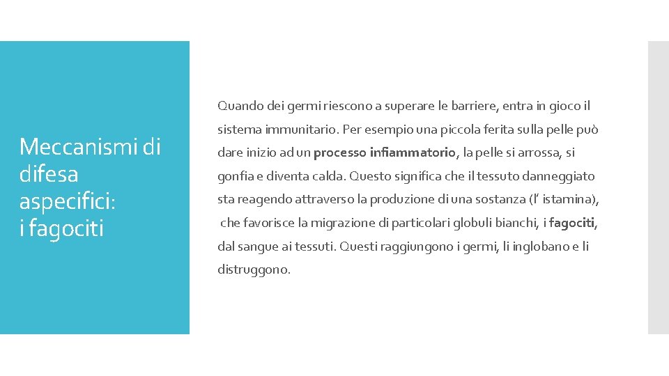 Quando dei germi riescono a superare le barriere, entra in gioco il Meccanismi di