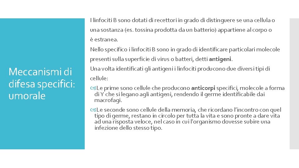 I linfociti B sono dotati di recettori in grado di distinguere se una cellula