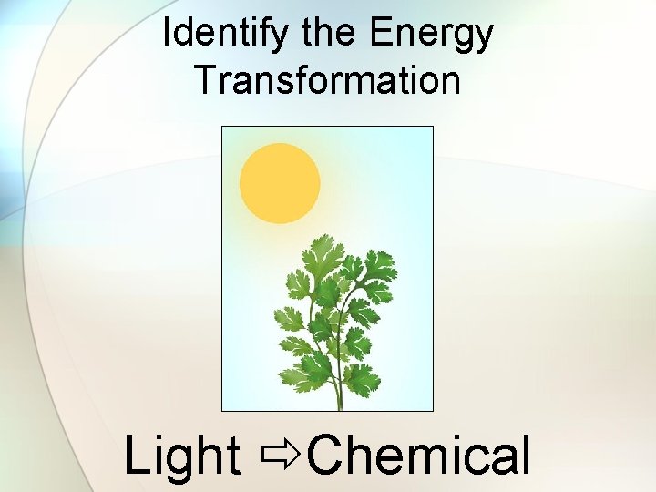 Identify the Energy Transformation Light Chemical 