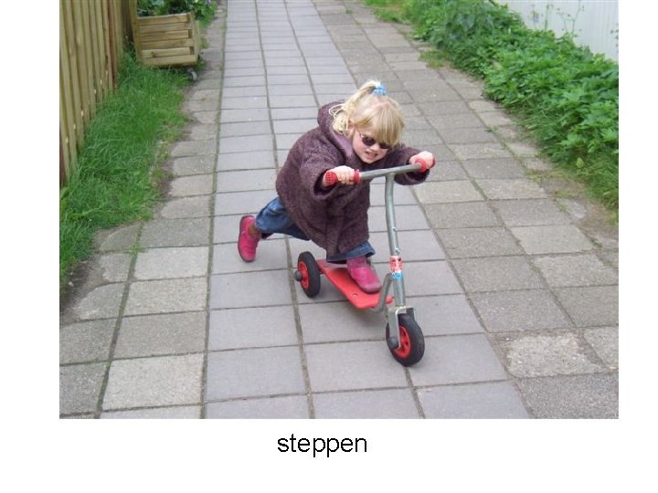 steppen 