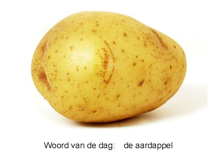 Woord van de dag: de aardappel 