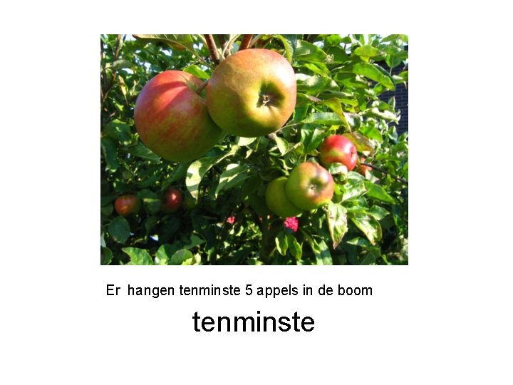 Er hangen tenminste 5 appels in de boom tenminste 