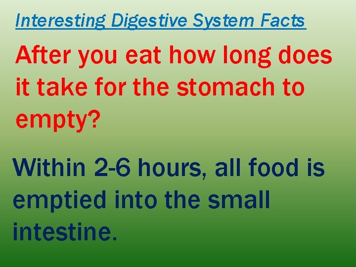 Interesting Digestive System Facts After you eat how long does it take for the