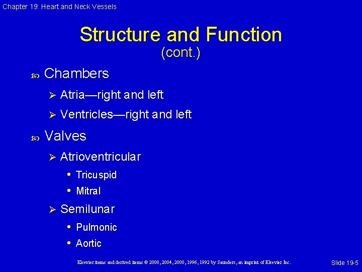 Chapter 19: Heart and Neck Vessels Structure and Function (cont. ) Chambers Ø Atria—right