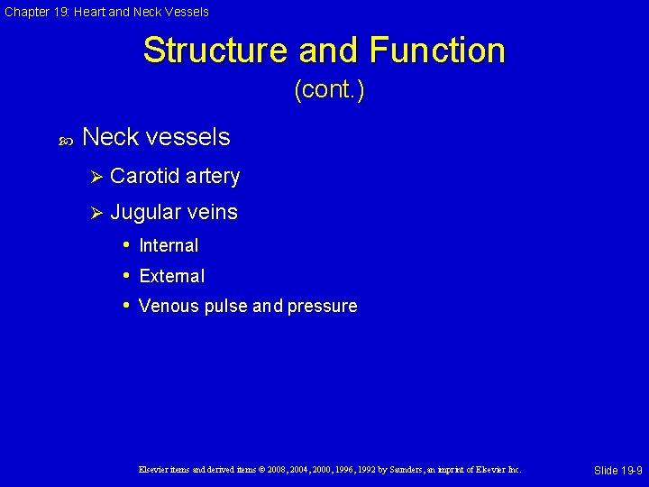 Chapter 19: Heart and Neck Vessels Structure and Function (cont. ) Neck vessels Ø