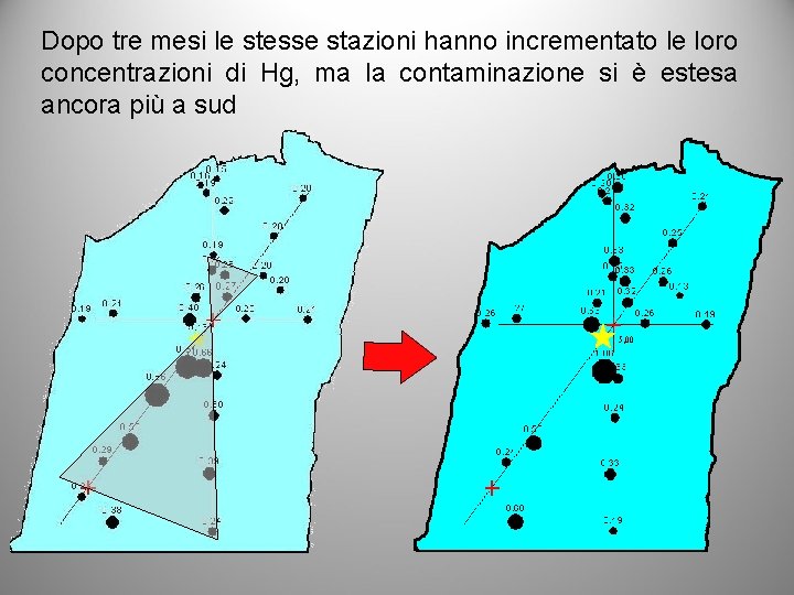 Dopo tre mesi le stesse stazioni hanno incrementato le loro concentrazioni di Hg, ma