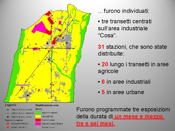 …furono individuati: • tre transetti centrati sull’area industriale “Cosa”. 31 stazioni, che sono state