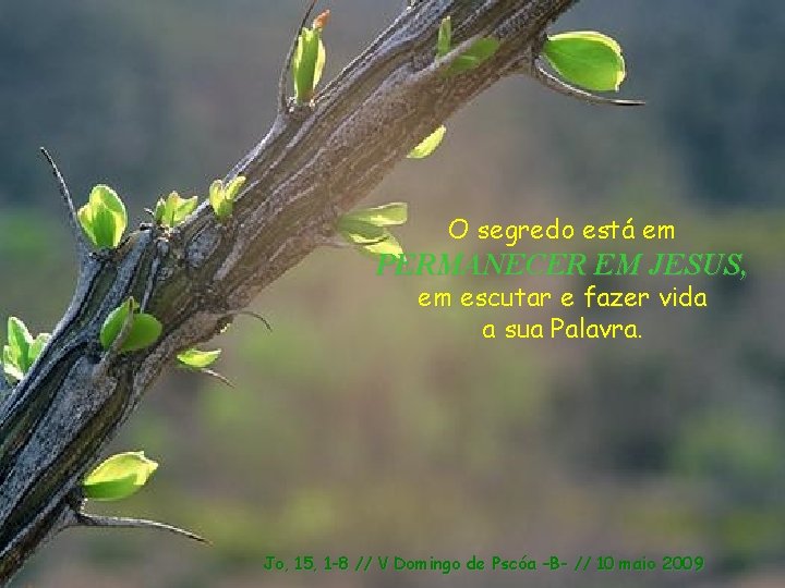 O segredo está em PERMANECER EM JESUS, em escutar e fazer vida a sua