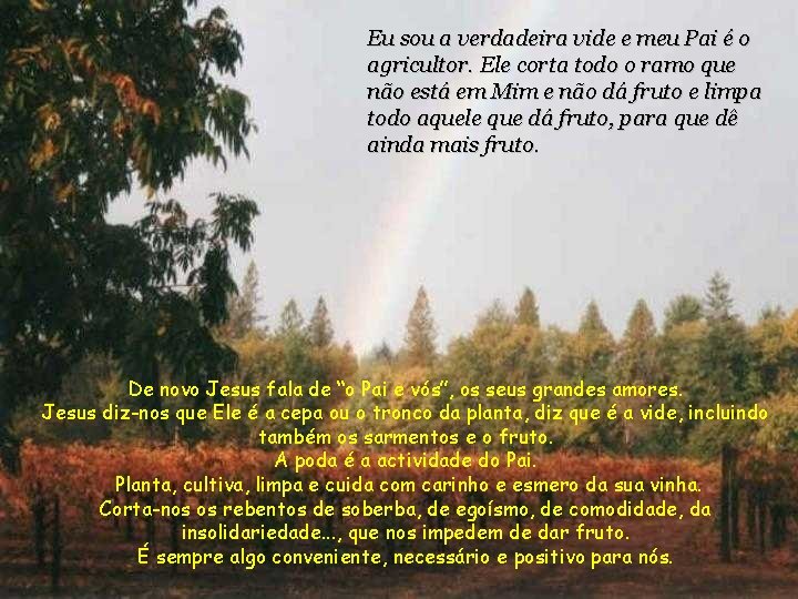 Eu sou a verdadeira vide e meu Pai é o agricultor. Ele corta todo