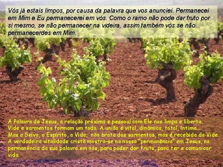 Vós já estais limpos, por causa da palavra que vos anunciei. Permanecei em Mim